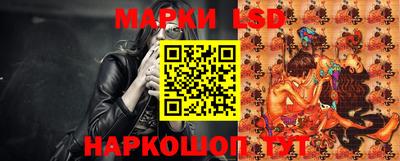 spice Новодвинск