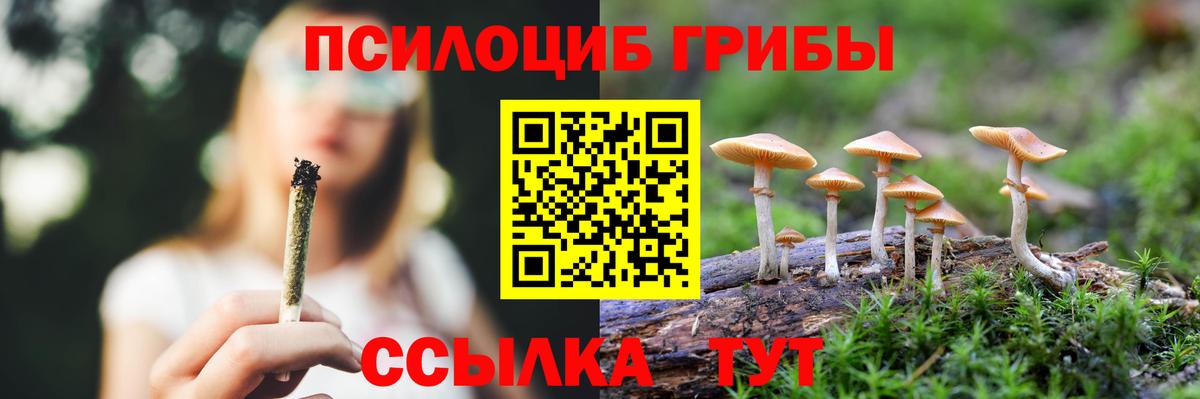 Галлюциногенные грибы Cubensis Тольятти